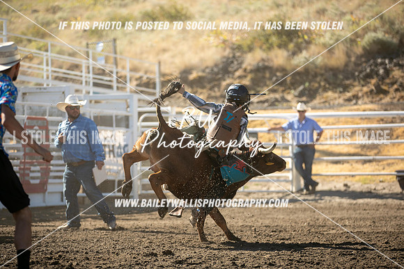 RR2_0251