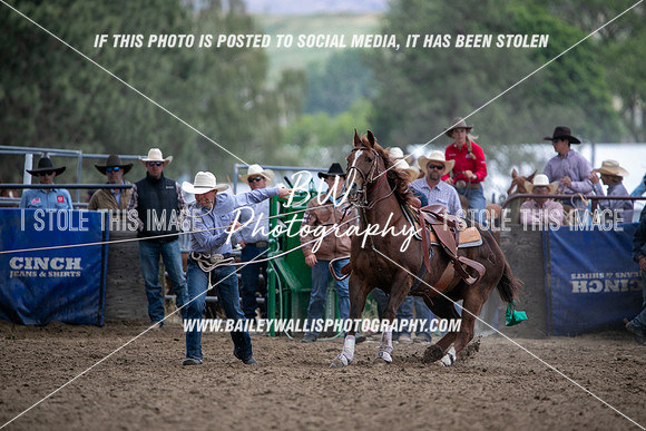 HS2_2797