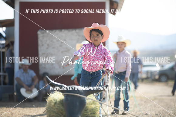 POR_0572