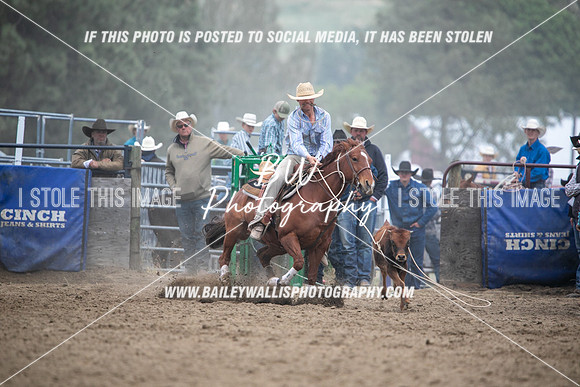 HS2_3955