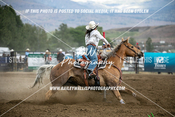 HS1_4294