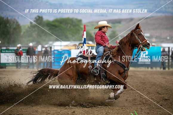 HS1_4147