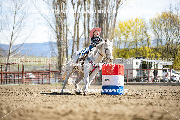 TR1_0346