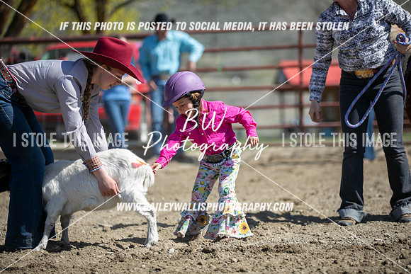 TR2_4991