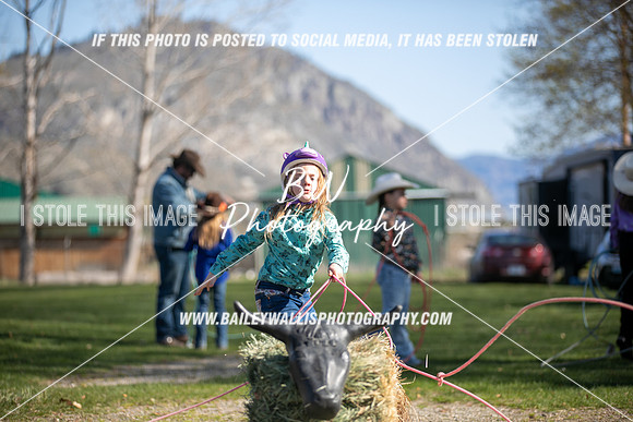 TR2_0246