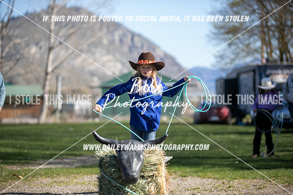 TR2_0285