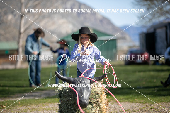 TR2_0275