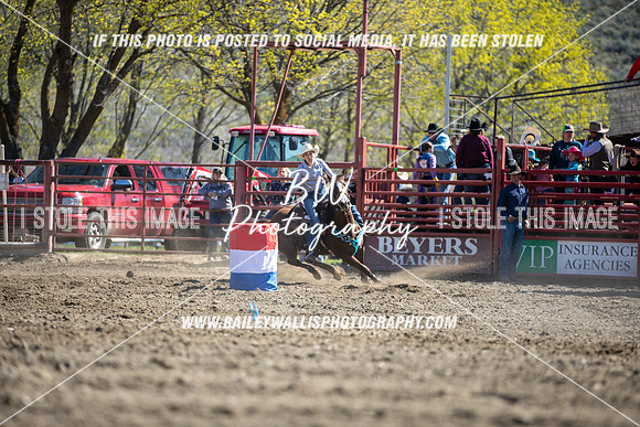 TR2_2015