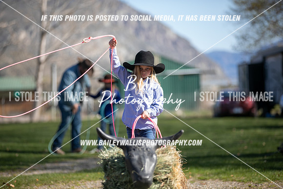 TR2_0270
