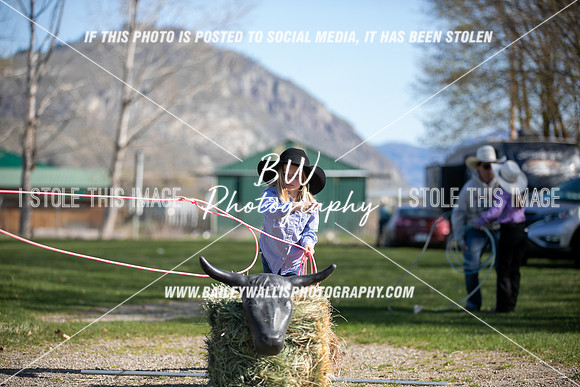 TR2_0317