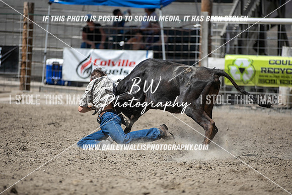 RR1_3988