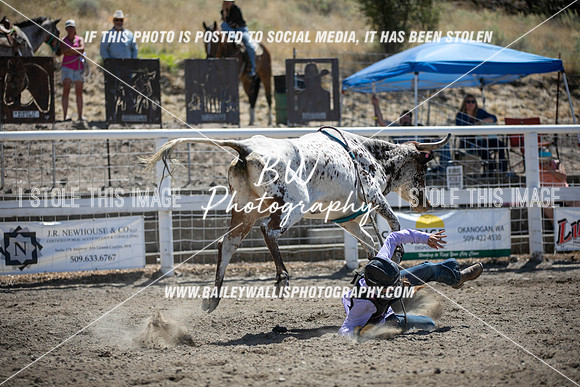 RR1_3817