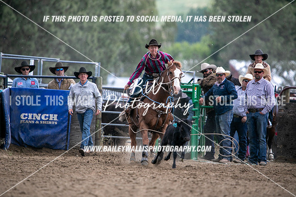 HS2_2864