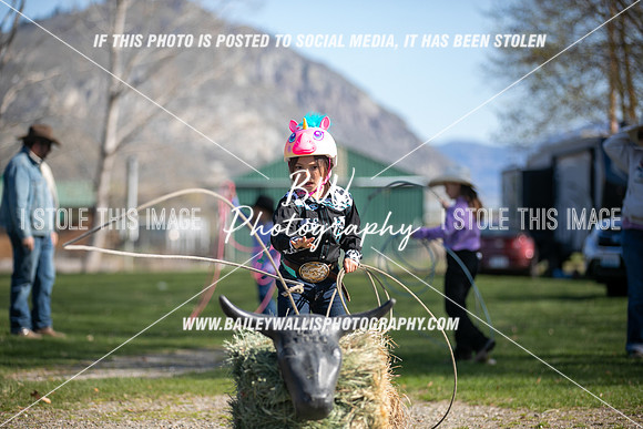TR2_0335