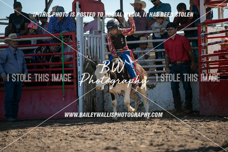 BW Photography | CALF RIDING