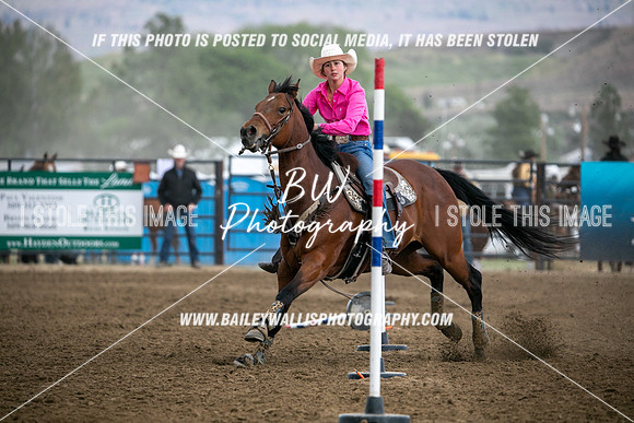 HS1_4349