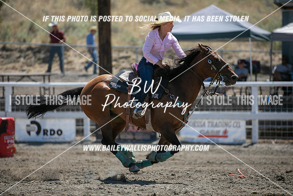 RR2_3391