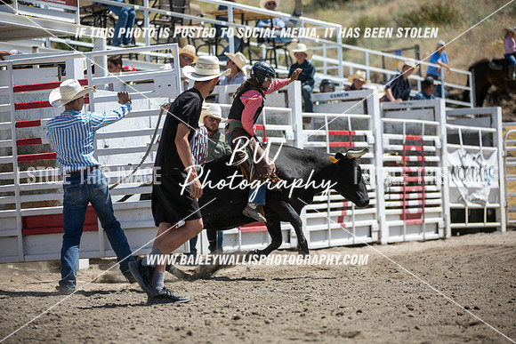 RR1_3779