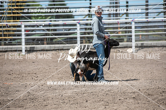PO1_4612