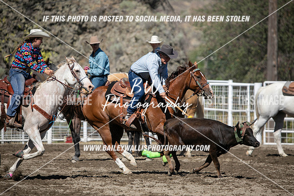 RR1_0939