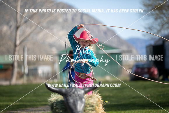 TR2_0459