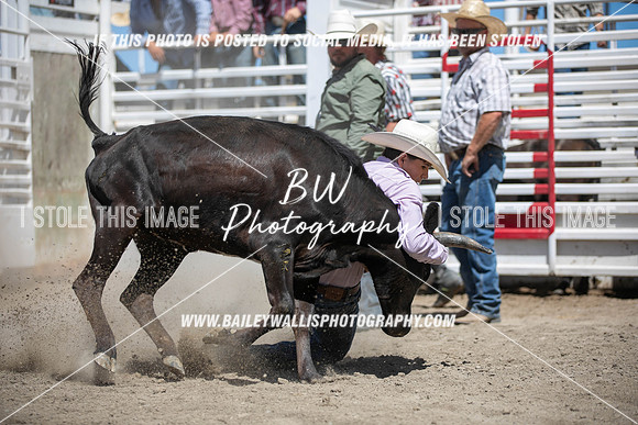 RR1_3927