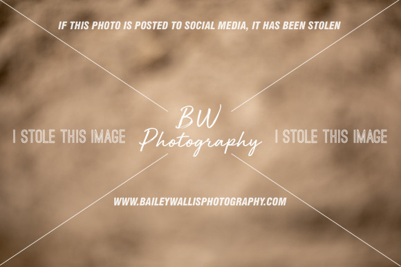 LS2_3653