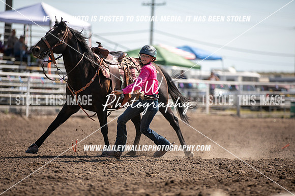 LS2_1407