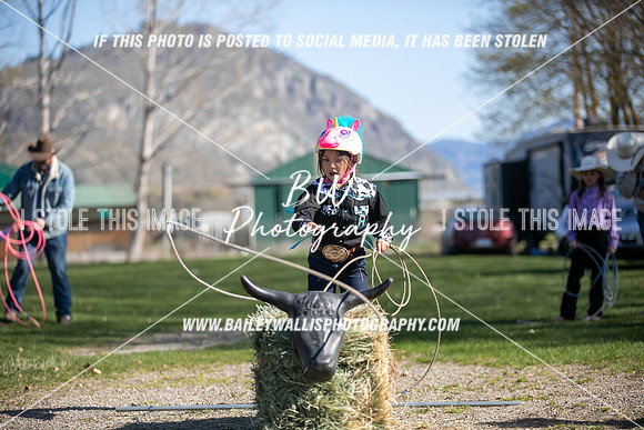 TR2_0296