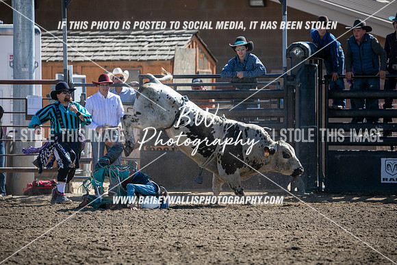 JH2_0337