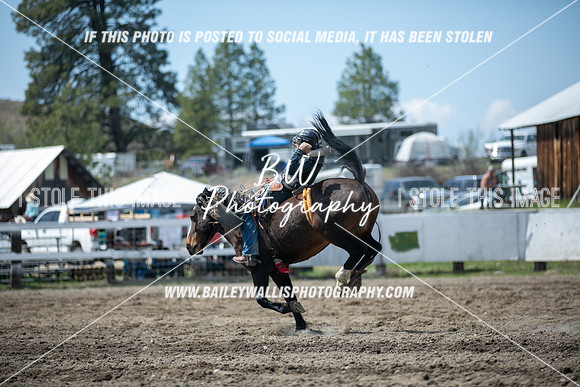 NR1_3075
