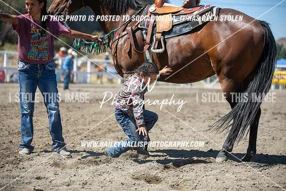 RR2_2013