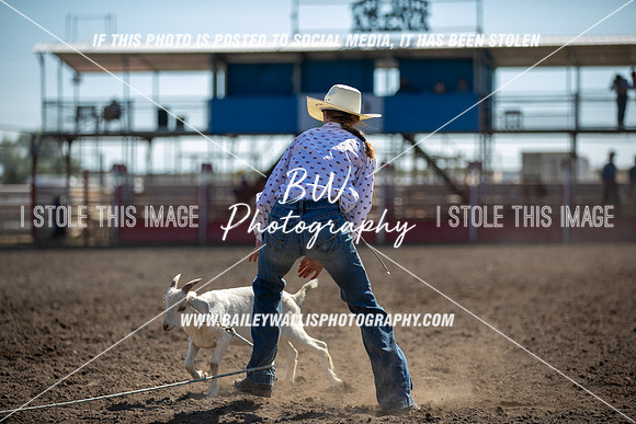 LS2_1310
