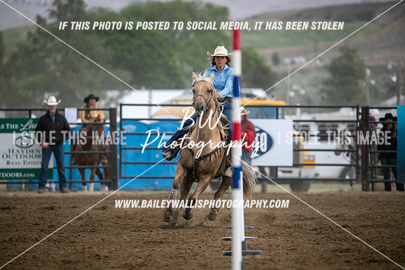 HS1_4366