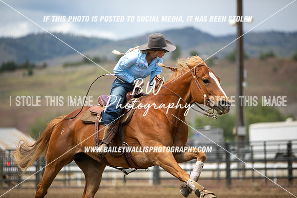 HS2_2198