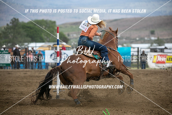 HS1_4099