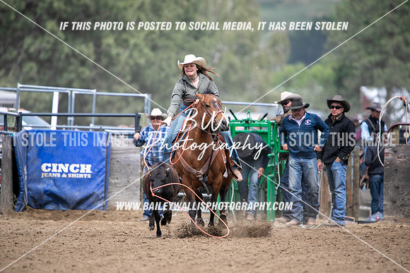 HS2_3528