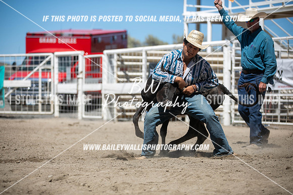 RR1_3886