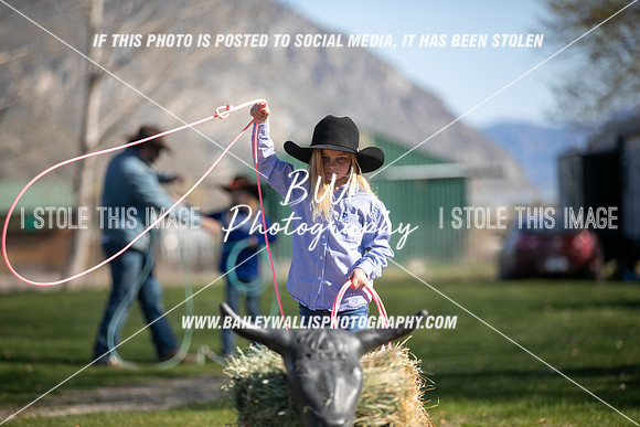 TR2_0267