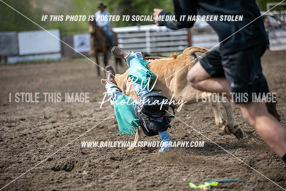 NR2_0350