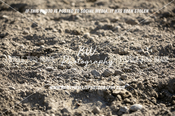 TR2_6535