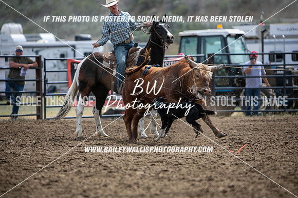 HS1_0482