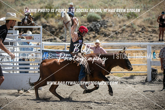 RR1_3827