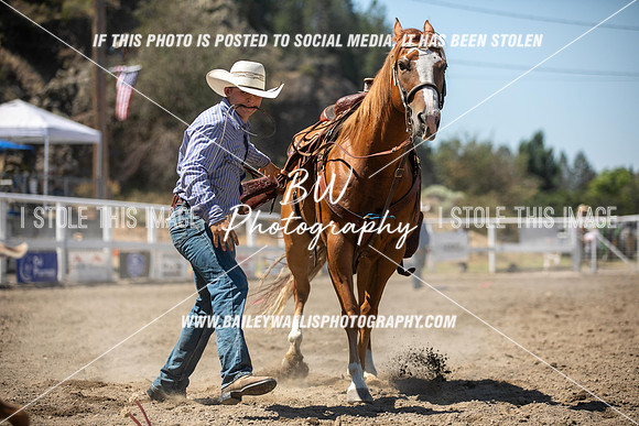 RR2_2884