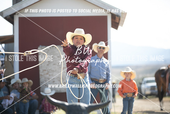 POR_0993
