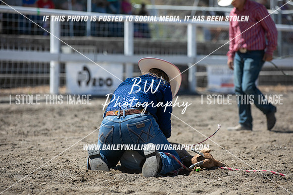 RR1_2218