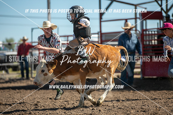 PO1_0796