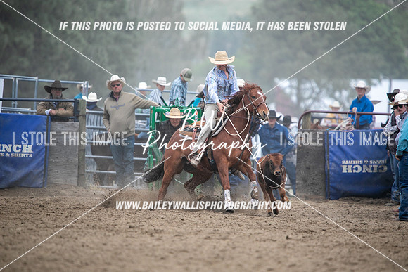 HS2_3956