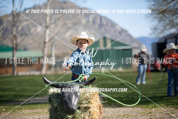 TR2_0039