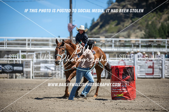 RR1_3513